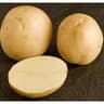Potato: Bambino