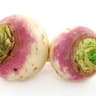 Turnip