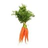 Carrot: Bunch