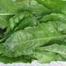 Spinach: Perpetual