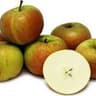 Apple: Kidd's Orange Pippin