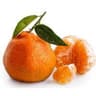 Mandarin: Satsuma