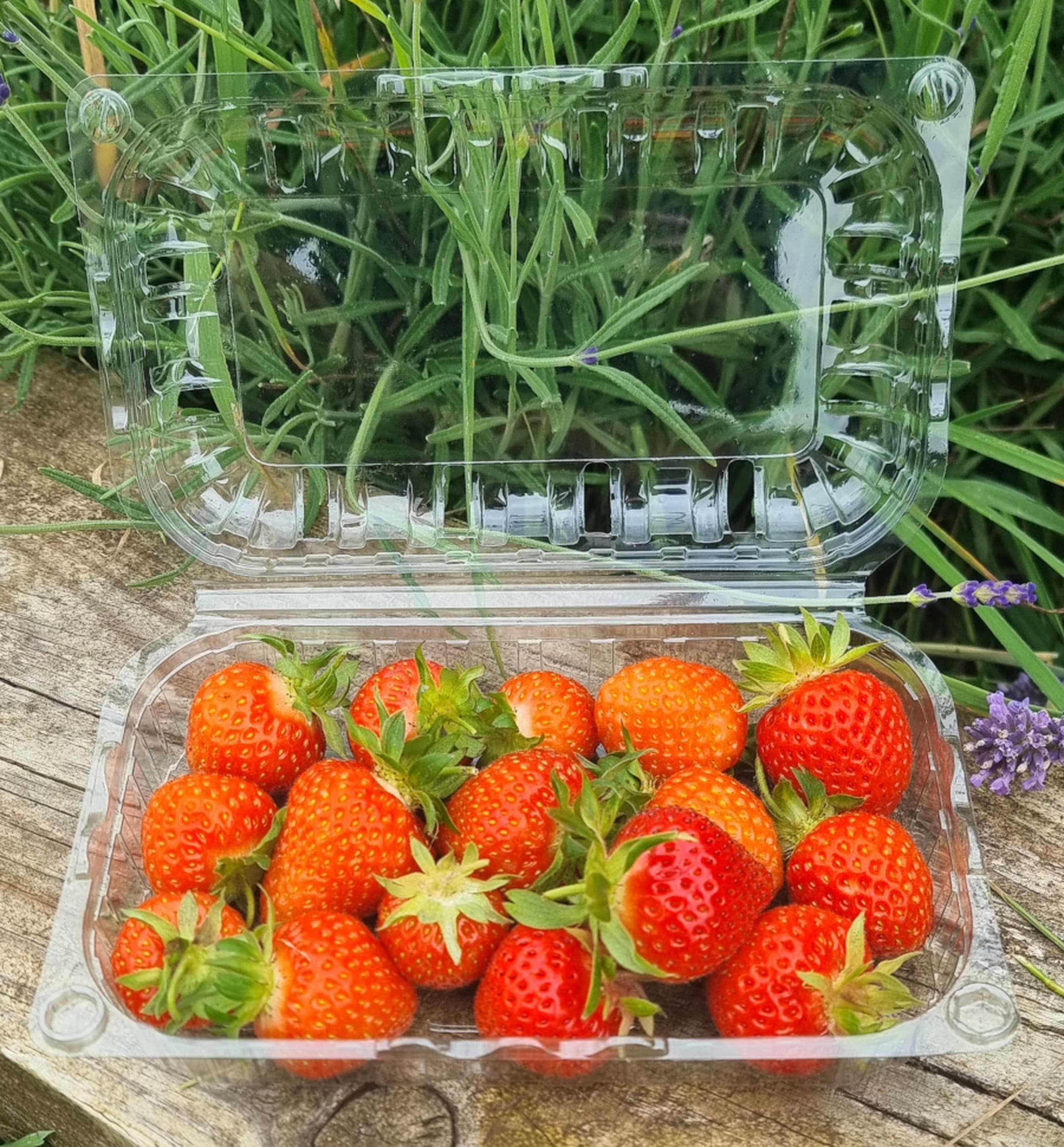 Strawberries
