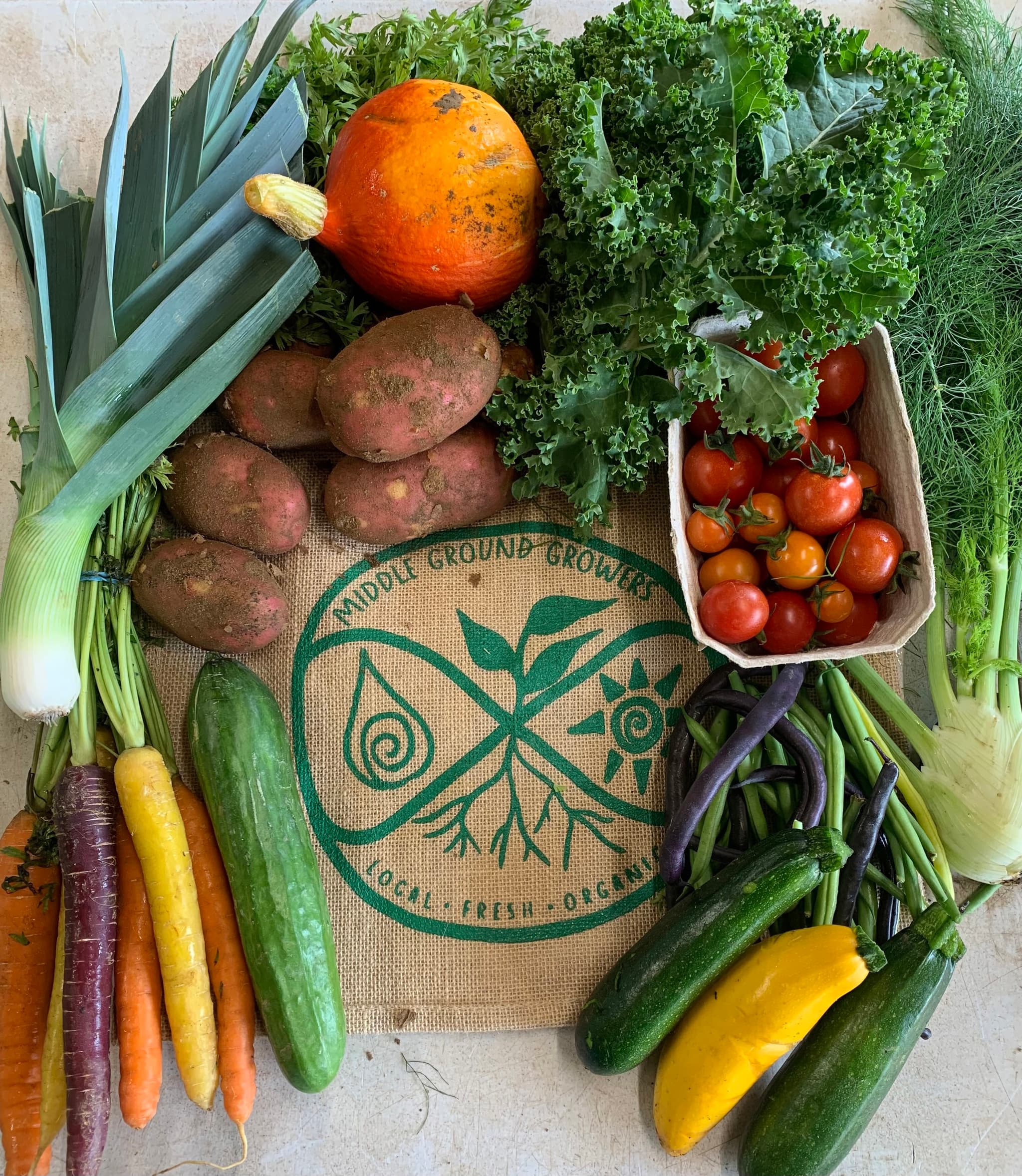 Large Organic Veg Bag