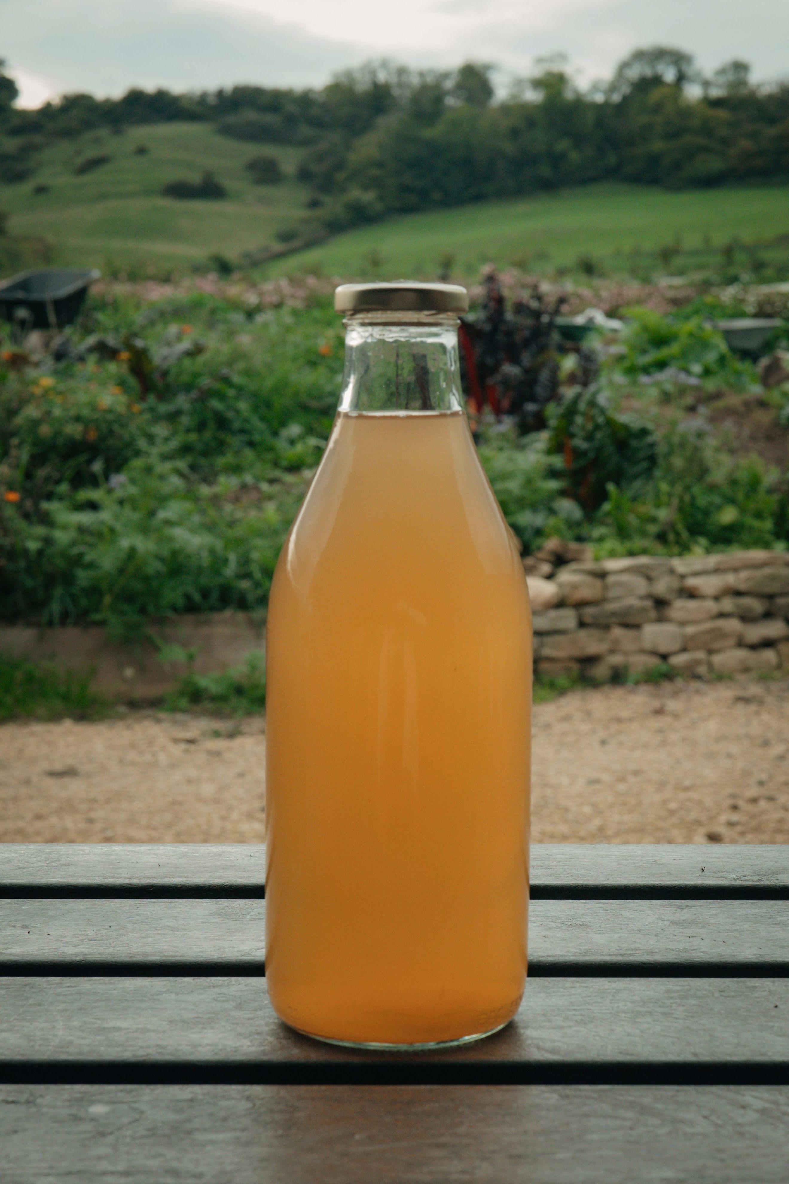 Image of the product