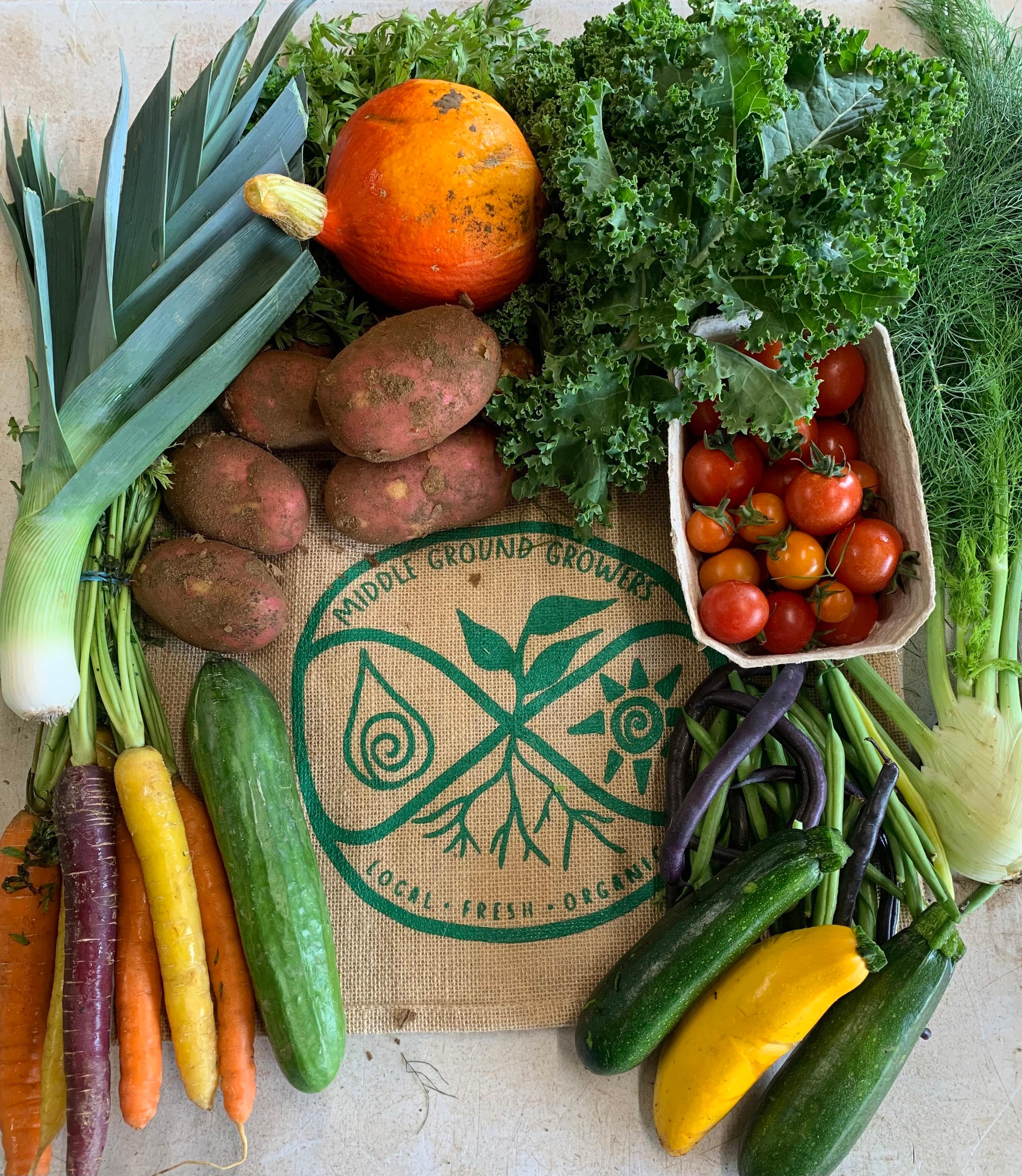 Large Organic Veg Bag