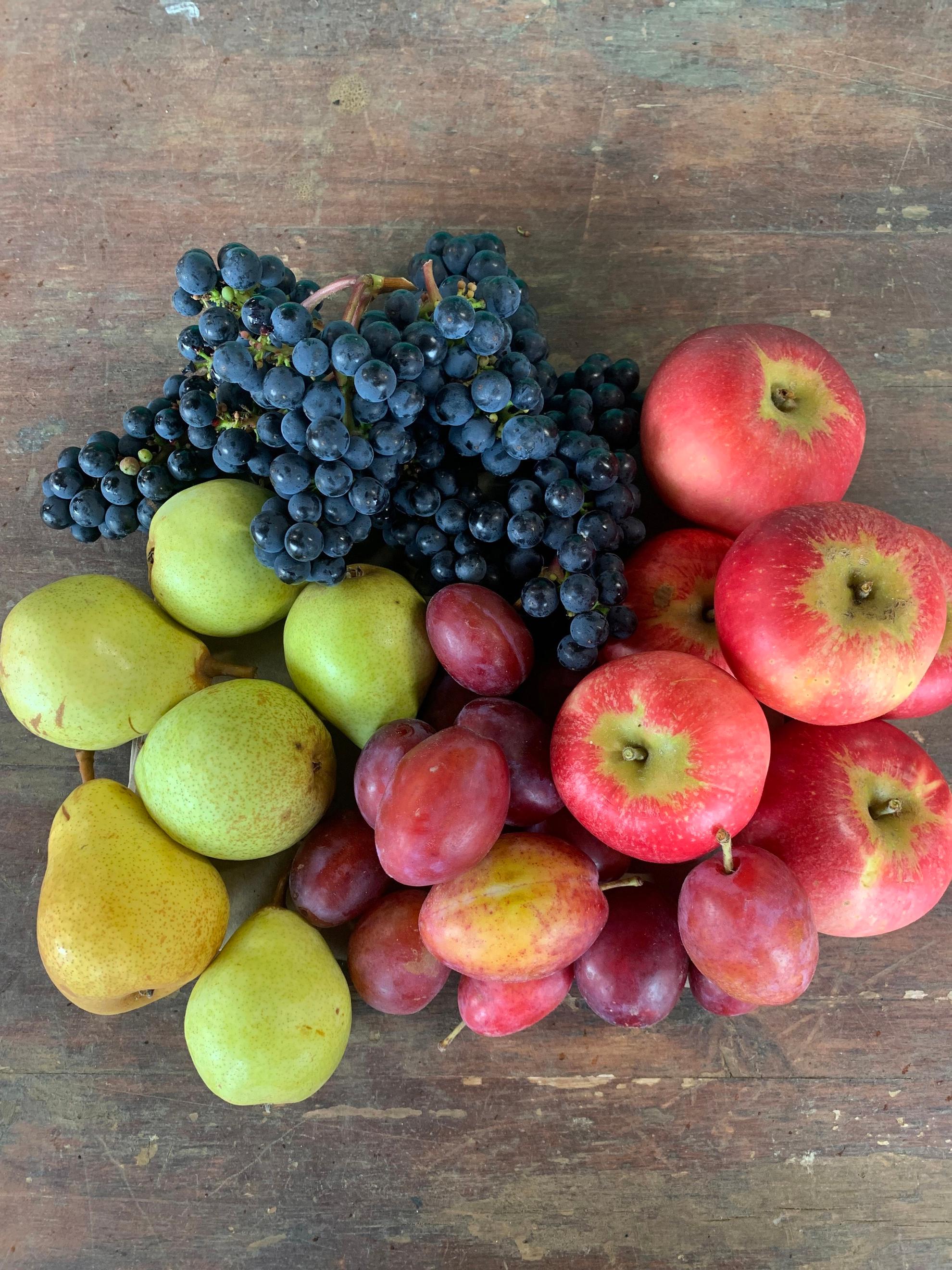 Seasonal Organic Fruit