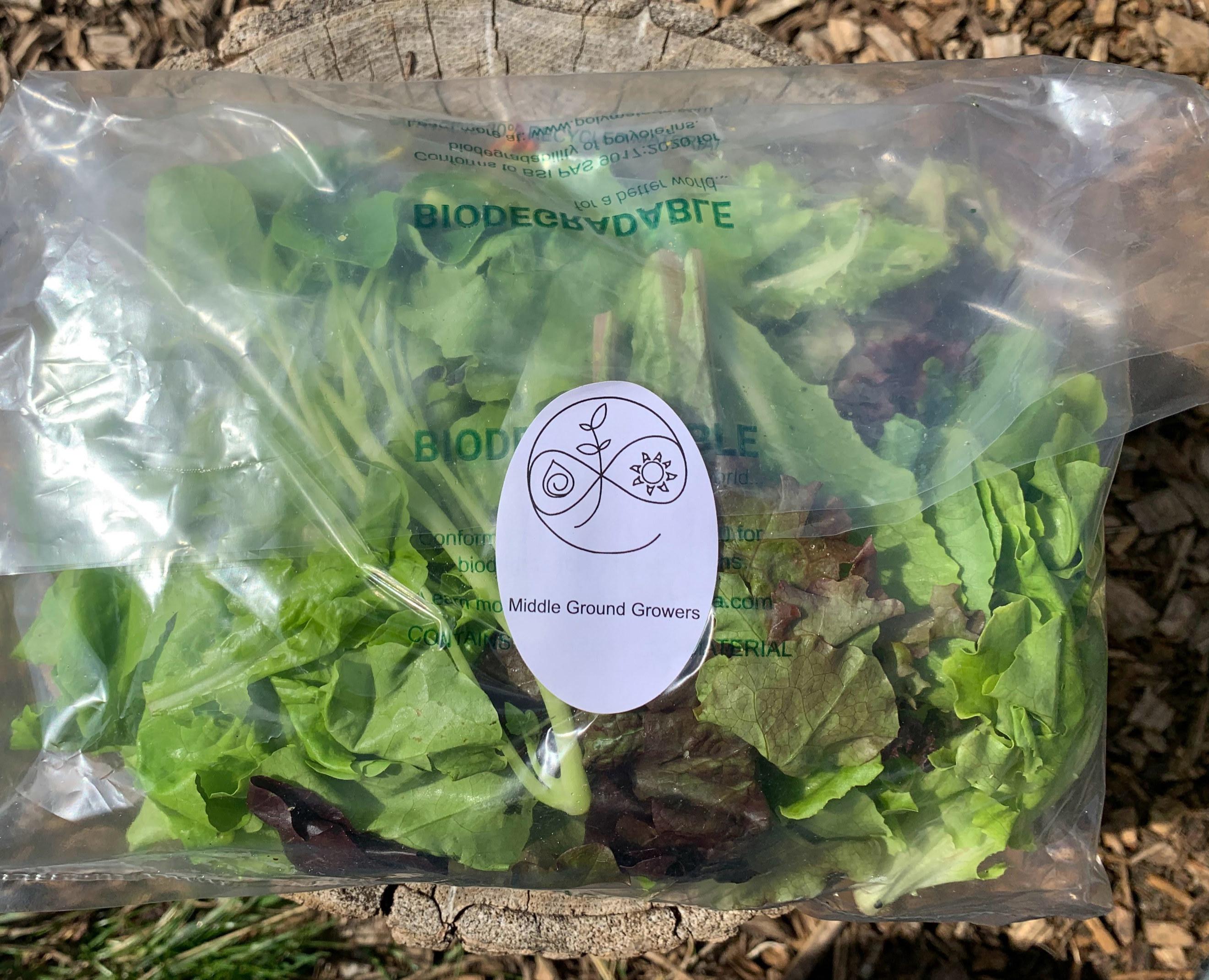 Organic Mixed Salad Leaves (100g)